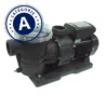 Pompe De Piscine STP 100 Reconditionnée (A)